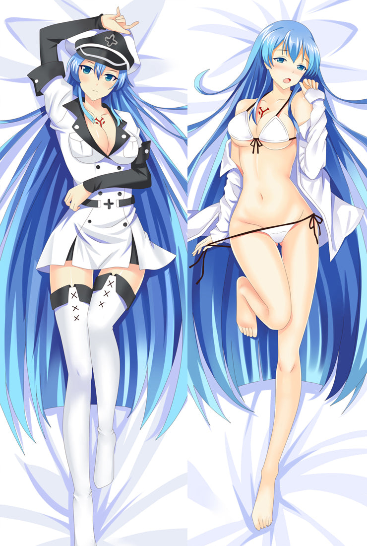 Akame Ga Kill! Esdeath Anime Dakimakura Pillow Cover image 0