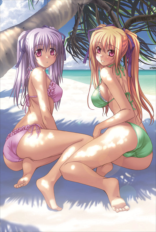 Shinkyoku Soukai Polyphonica Perserte + Prinesca Anime Dakimakura Body Pillow Cover image 0