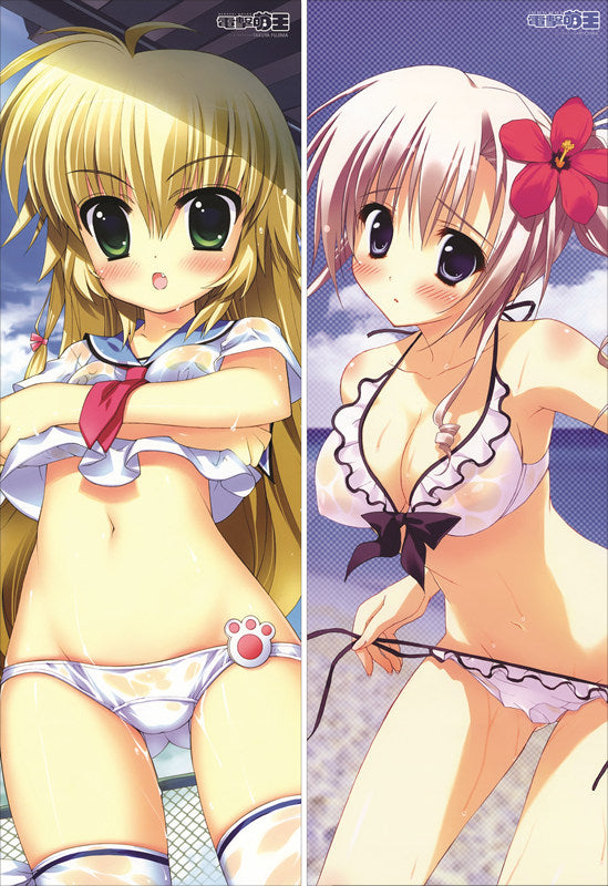Dengeki Daioh Anime Dakimakura Japanese Pillow Cover image 0
