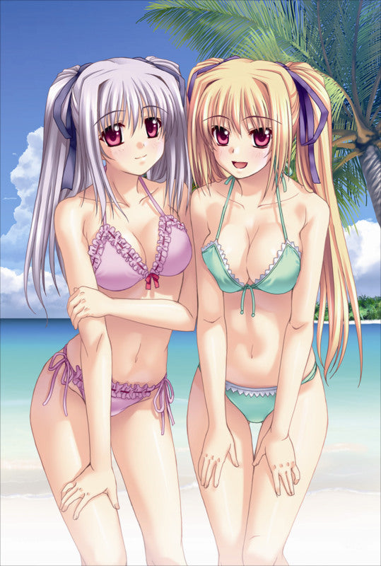 Shinkyoku Soukai Polyphonica  - Perserte + Prinesca Anime Dakimakura Body Pillow Cover image 0