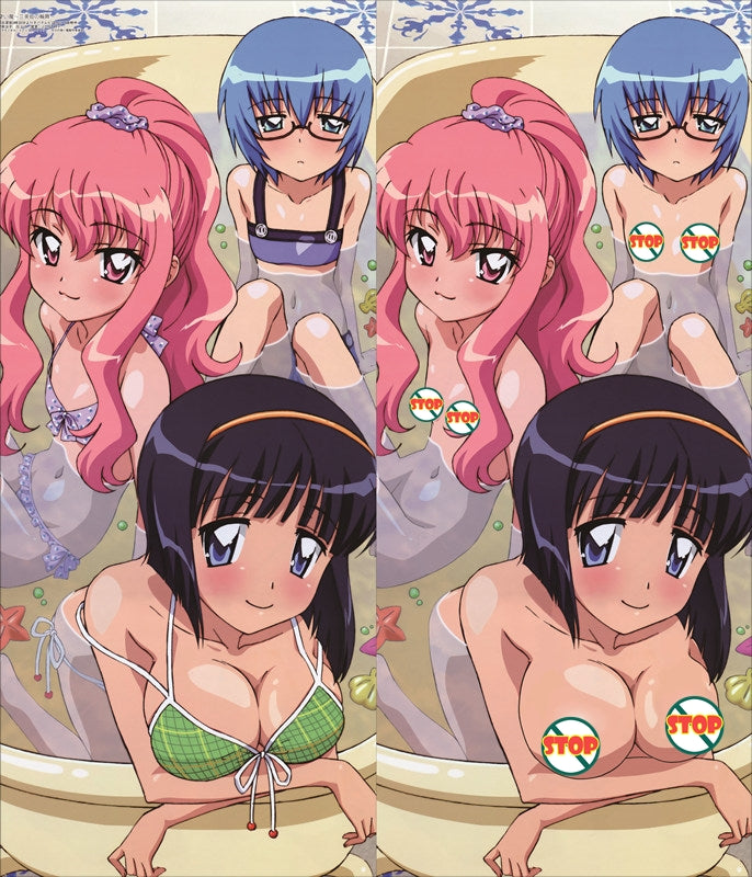 The Familiar of Zero Louise Francoise le Blanc de la Valliere Anime Dakimakura Body Pillow Cover image 0