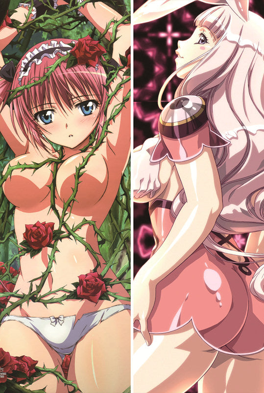 Queen's Blade Anime Dakimakura Body Pillow Cover image 0